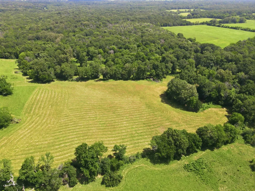 CR 4510 Mt Pleasant, TX 75455