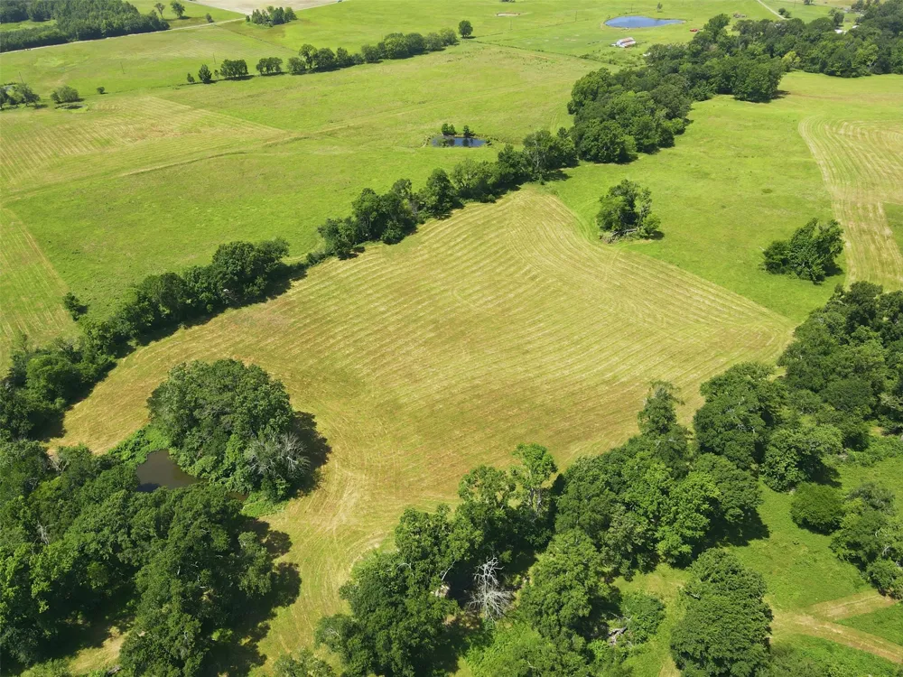 CR 4510 Mt Pleasant, TX 75455