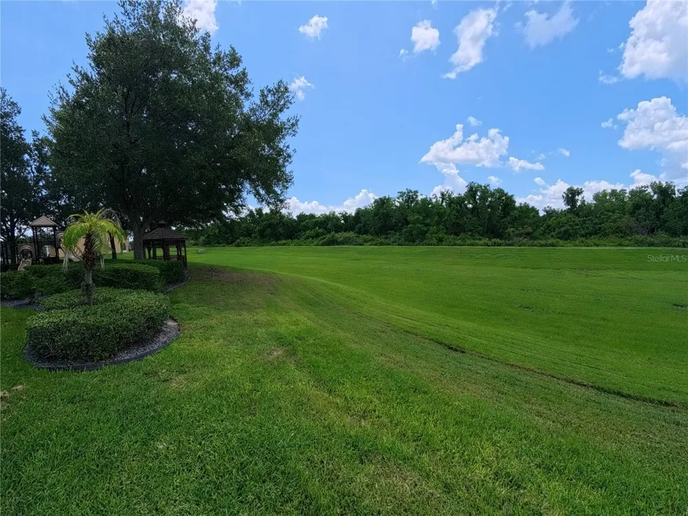 13349 HARBOR SHORE LANE Winter Garden, FL 34787