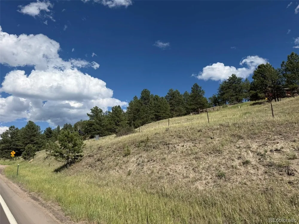 125 Hillside Drive Florissant, CO 80816