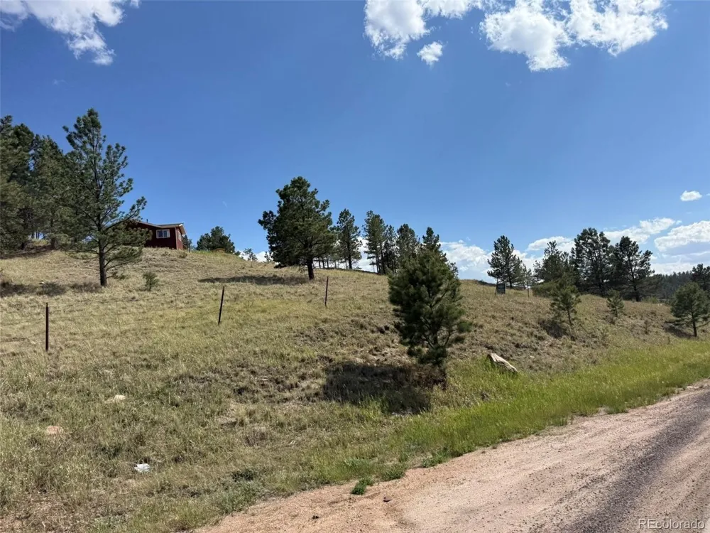 125 Hillside Drive Florissant, CO 80816