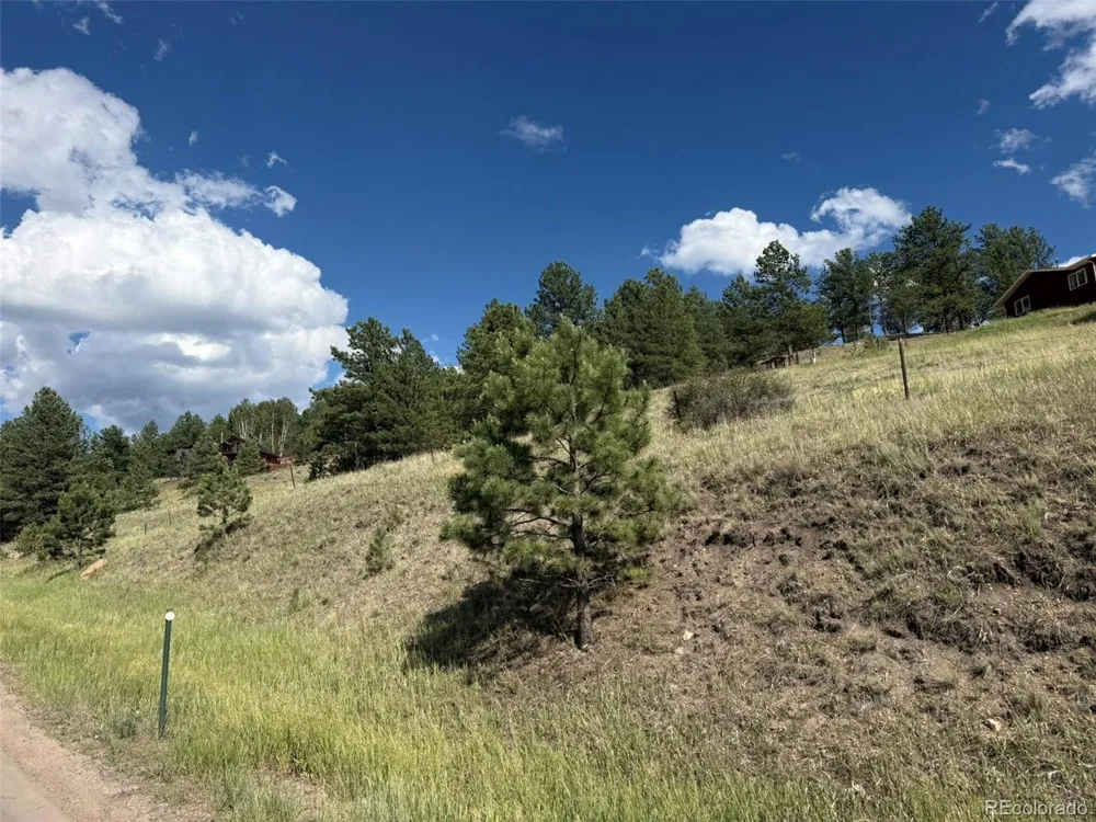 125 Hillside Drive Florissant, CO 80816