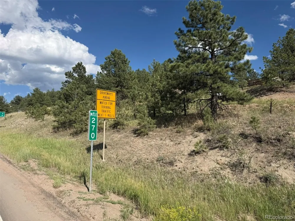 125 Hillside Drive Florissant, CO 80816