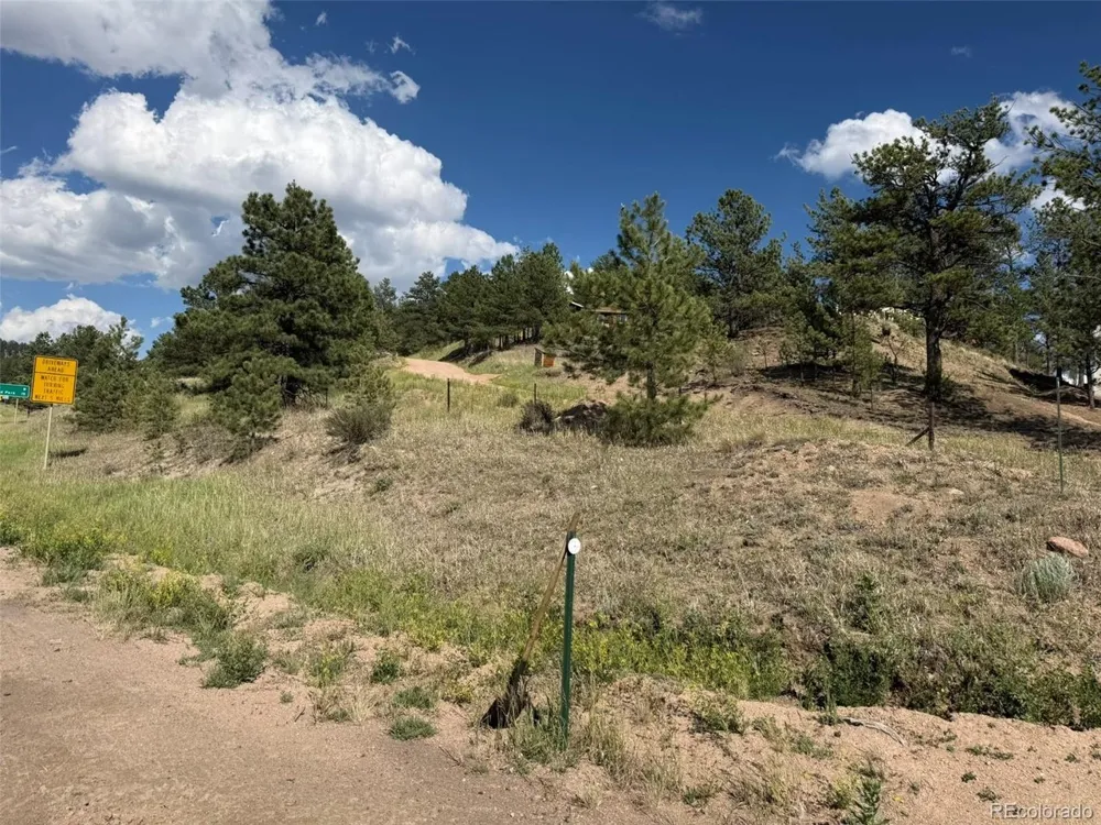 125 Hillside Drive Florissant, CO 80816