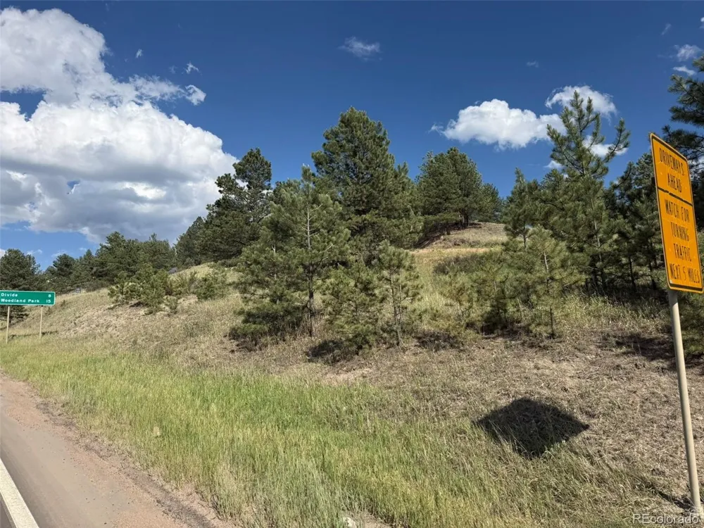 125 Hillside Drive Florissant, CO 80816