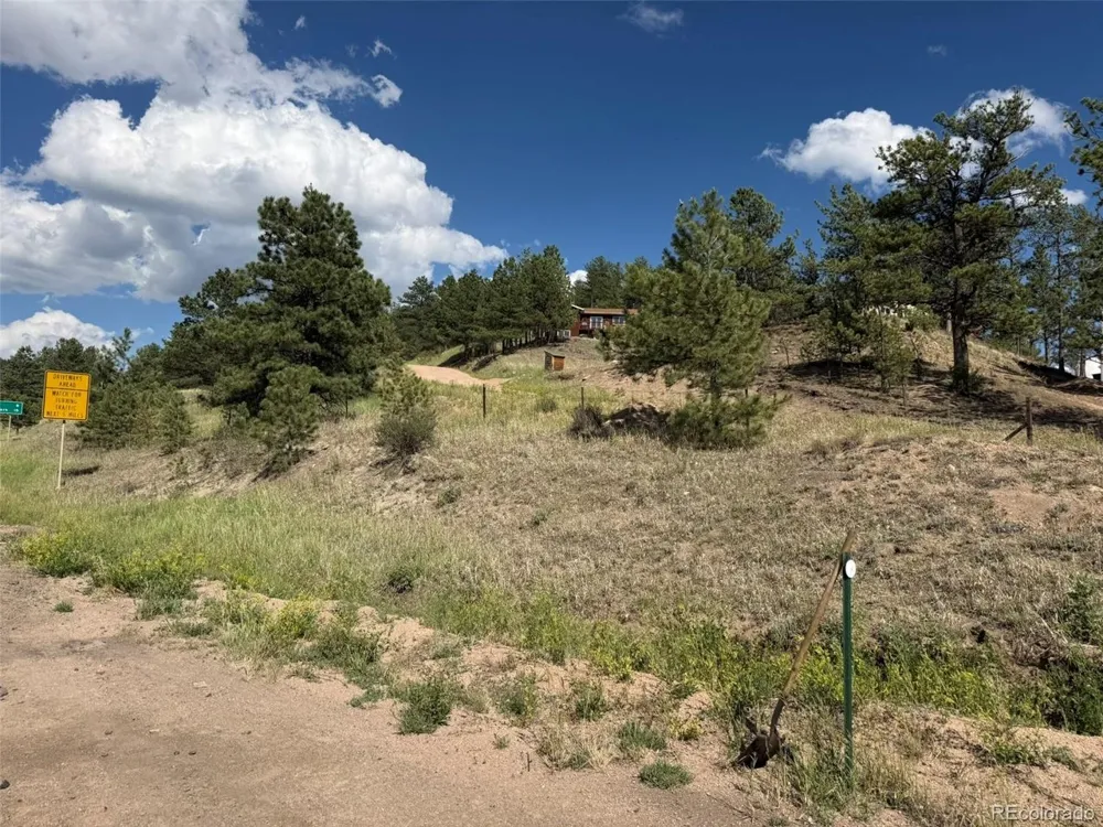 125 Hillside Drive Florissant, CO 80816