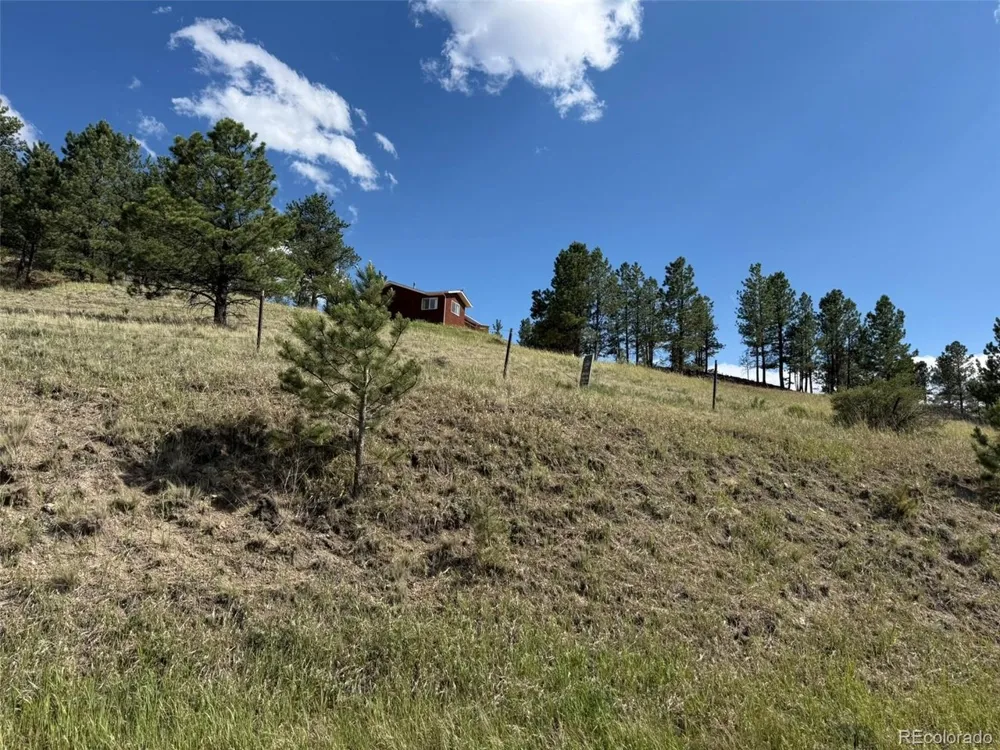 125 Hillside Drive Florissant, CO 80816
