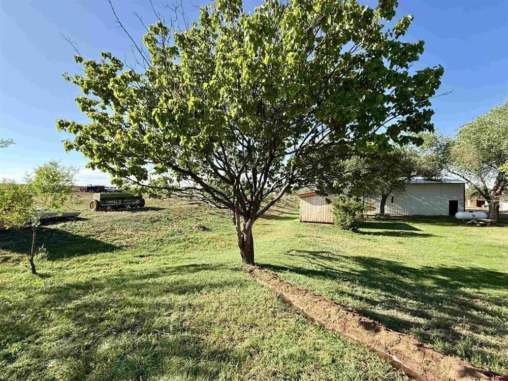 14702 Road 14 Cahone, CO 81320