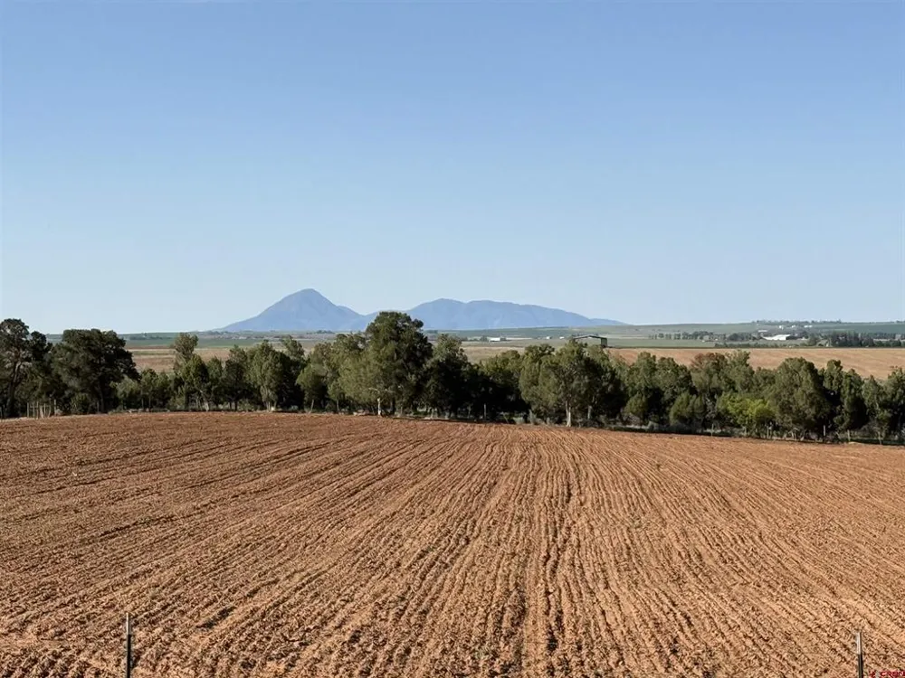 14702 Road 14 Cahone, CO 81320