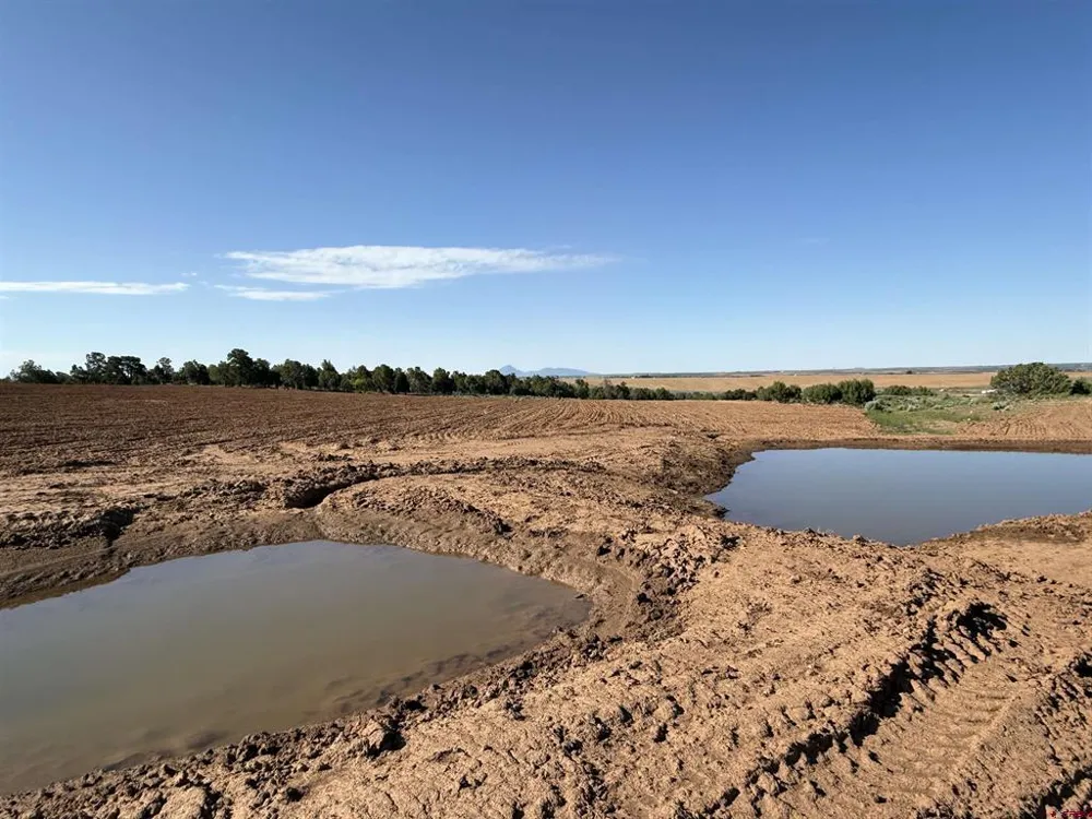 14702 Road 14 Cahone, CO 81320