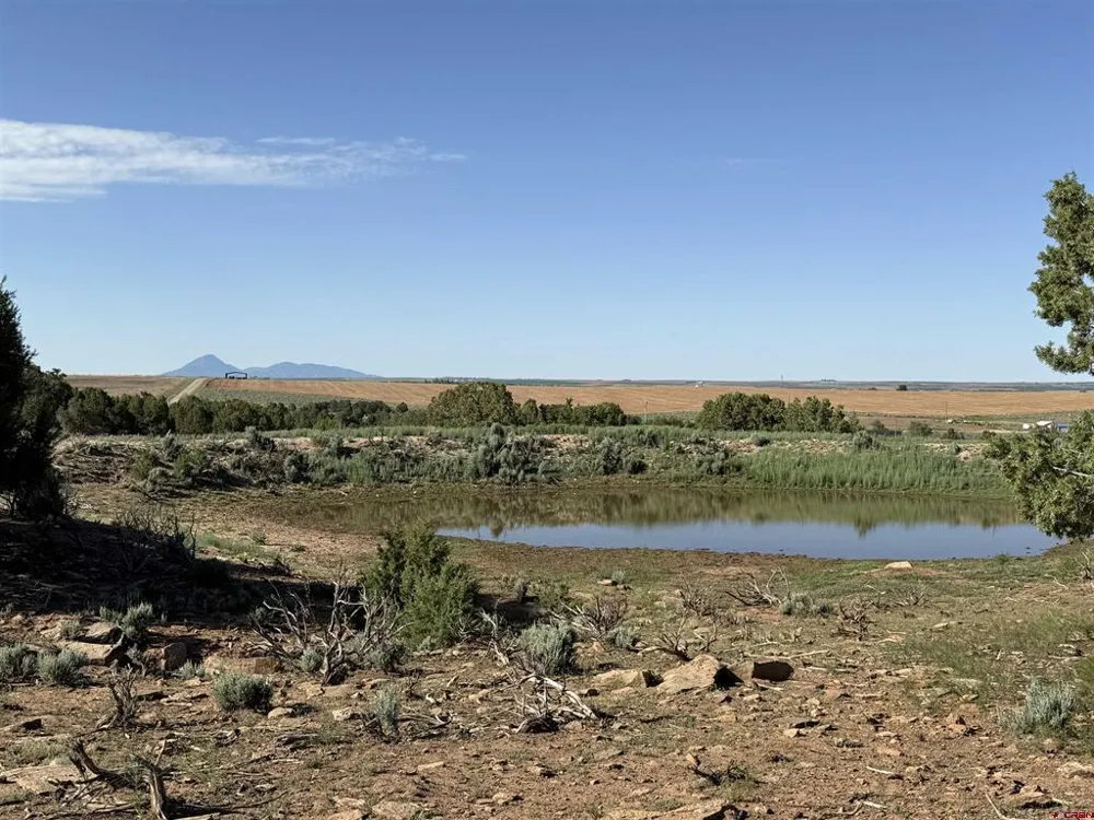 14702 Road 14 Cahone, CO 81320