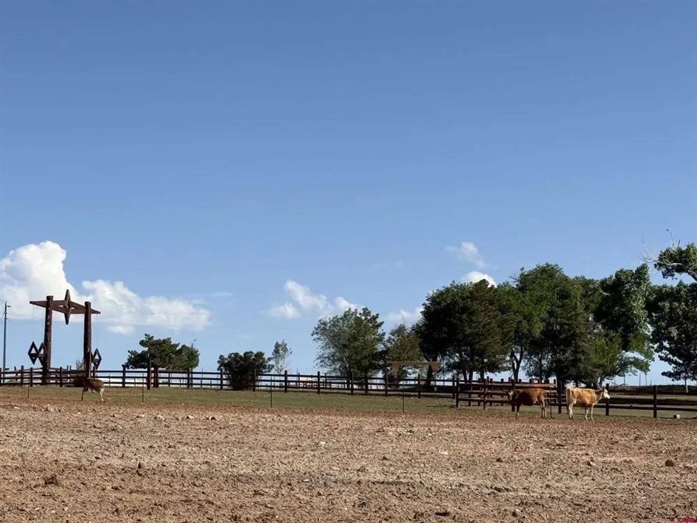 14702 Road 14 Cahone, CO 81320