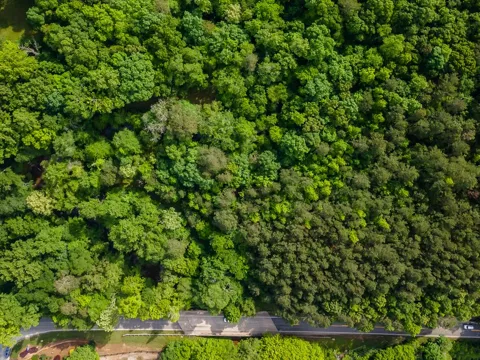 4.5 AC Hickory Flat Highway