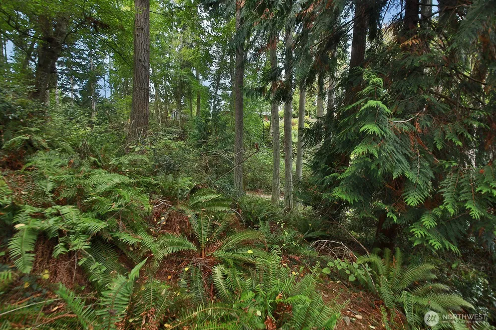 0 XXX Waterside Lane Langley, WA 98260