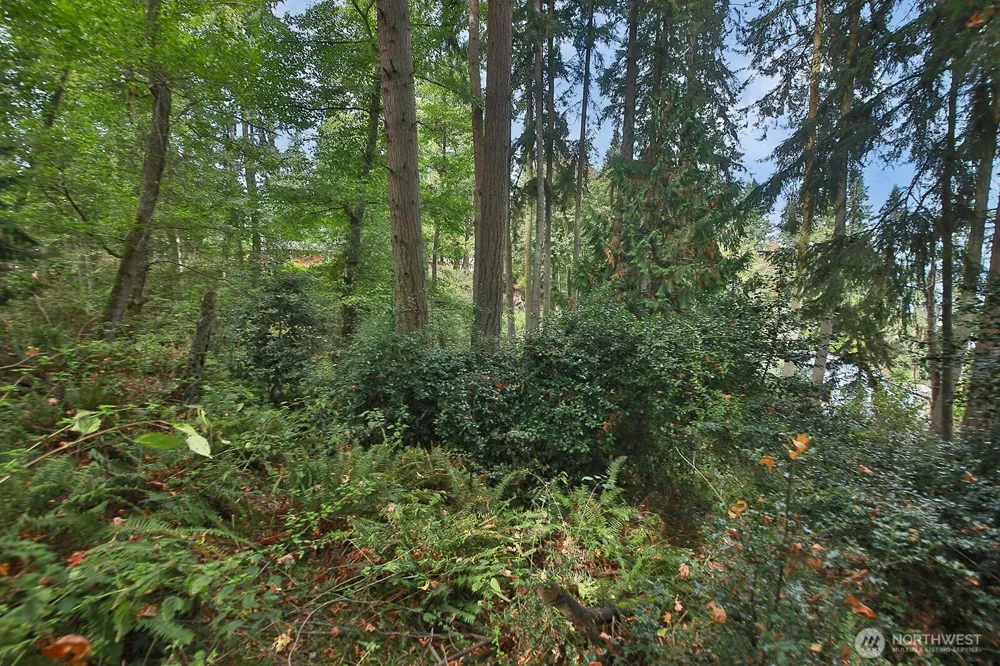 0 XXX Waterside Lane Langley, WA 98260