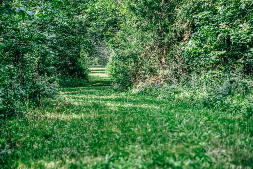 38261 Fm 1736 Road Hempstead, TX 77445
