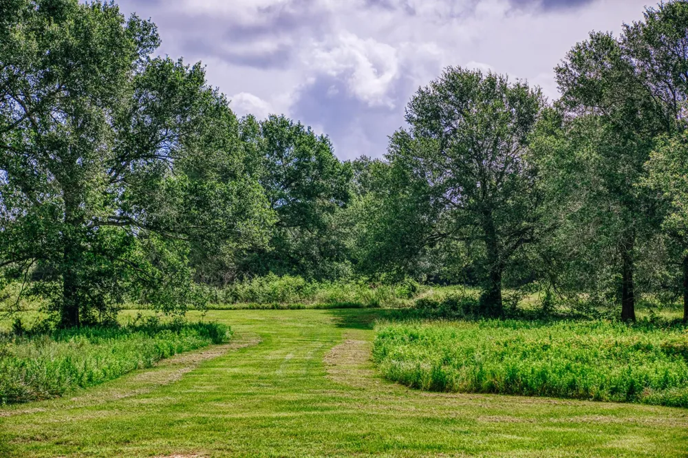 38261 Fm 1736 Road Hempstead, TX 77445
