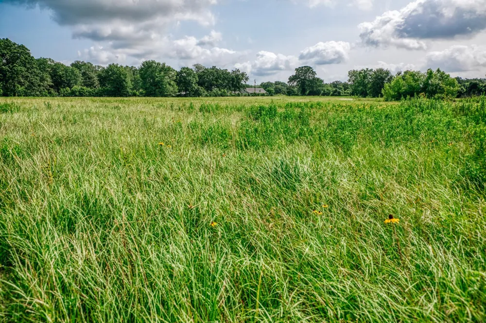 38261 Fm 1736 Road Hempstead, TX 77445