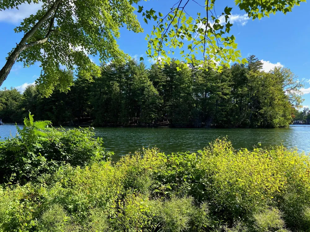 8740 W School Section Lake Drive Mecosta, MI 49332