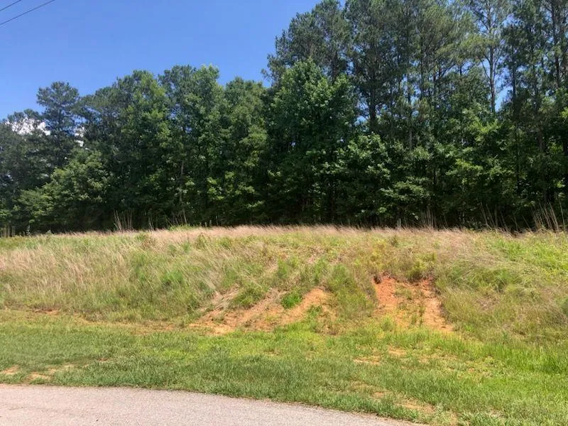 1860 Northwoods Drive Greensboro, GA 30642