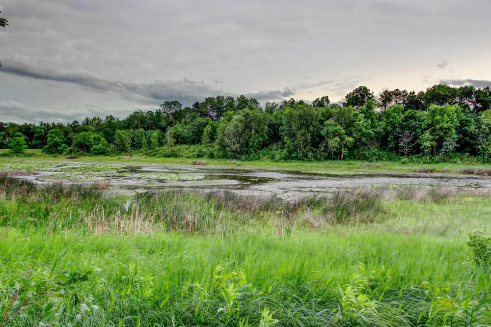 19815 Envoy Drive Park Rapids, MN 56470