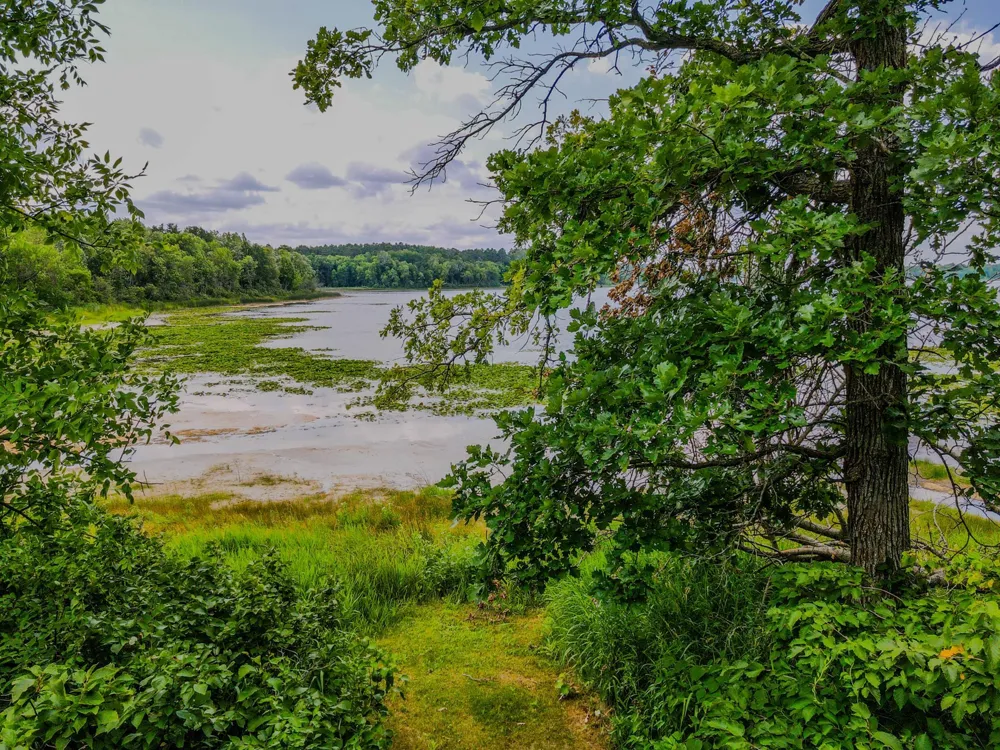 19815 Envoy Drive Park Rapids, MN 56470