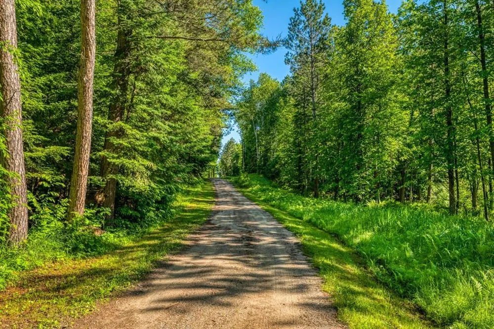 52702 Chapel Road Spring Lake, MN 56680
