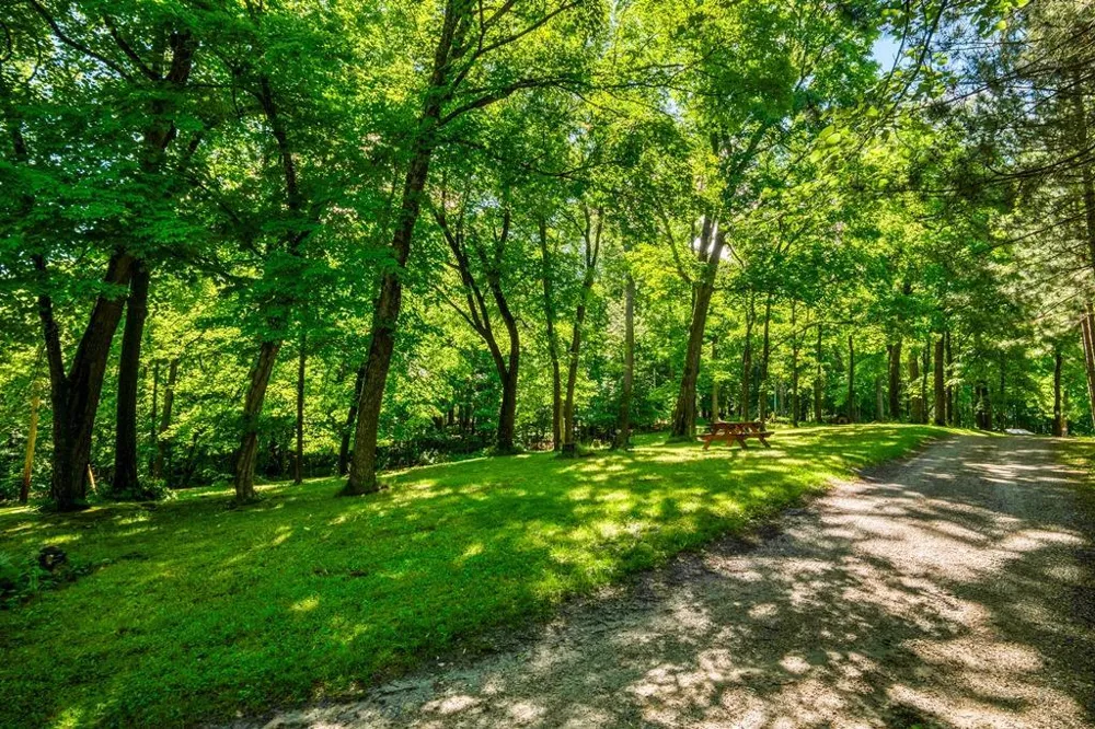 52702 Chapel Road Spring Lake, MN 56680