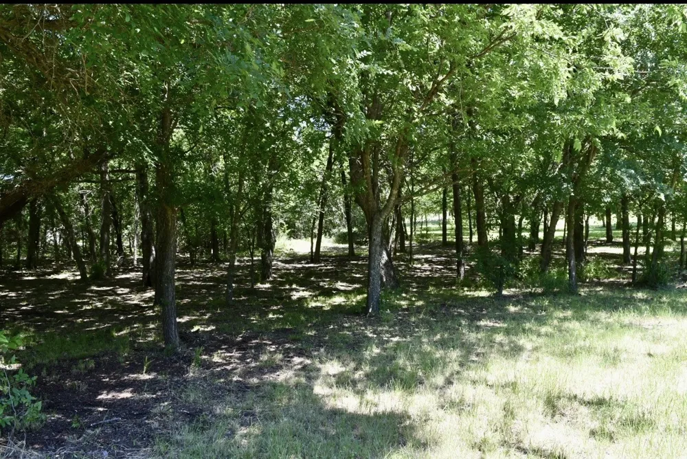 2955 Muirfield Grand Prairie, TX 75104