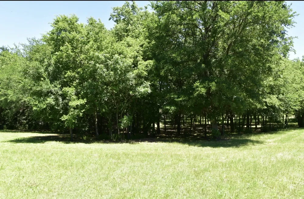 2955 Muirfield Grand Prairie, TX 75104