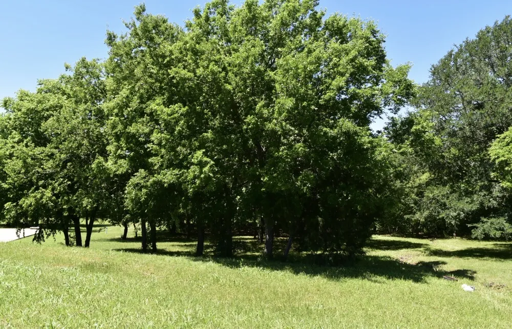 2955 Muirfield Grand Prairie, TX 75104