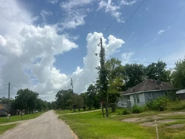 19138 County Road 520a Brazoria, TX 77422