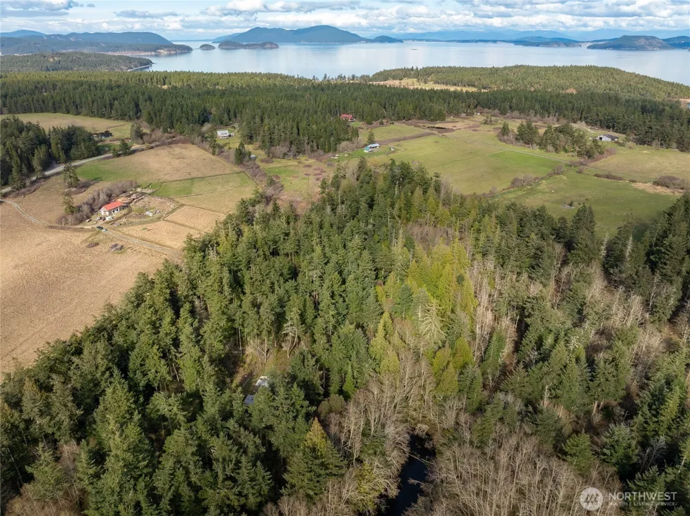 4722 Mud Bay Road Lopez Island, WA 98261