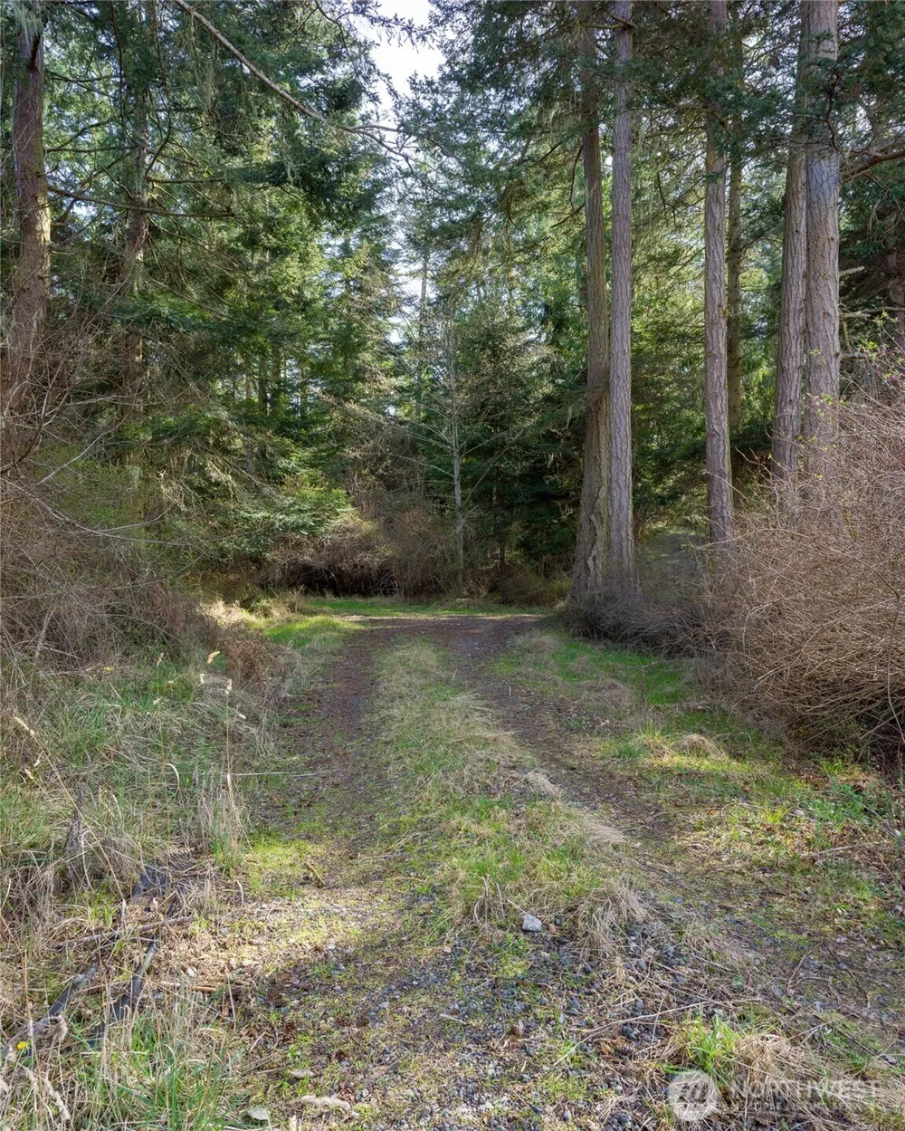 4722 Mud Bay Road Lopez Island, WA 98261
