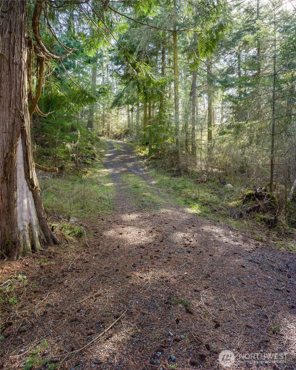 4722 Mud Bay Road Lopez Island, WA 98261