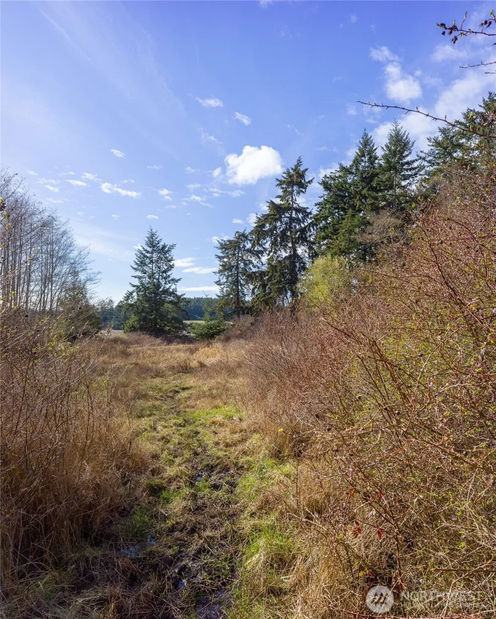 4722 Mud Bay Road Lopez Island, WA 98261