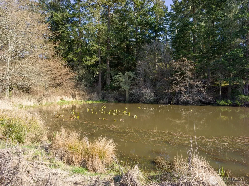 4722 Mud Bay Road Lopez Island, WA 98261