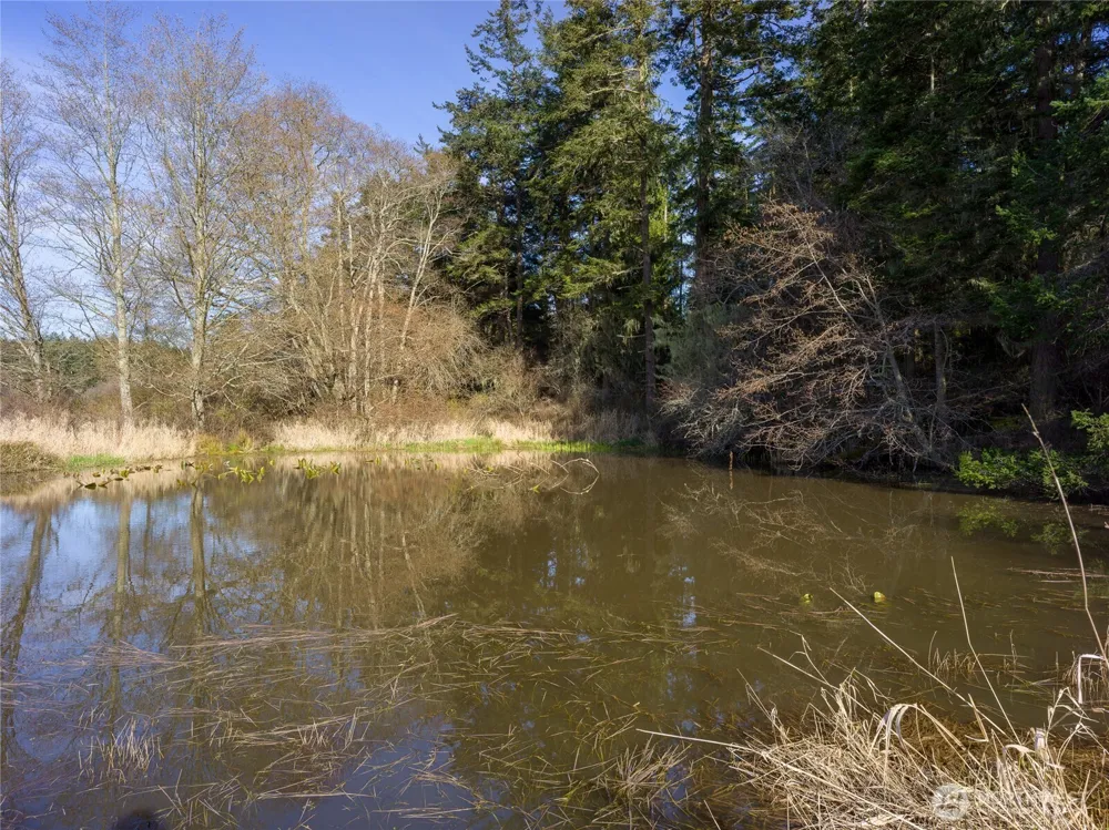 4722 Mud Bay Road Lopez Island, WA 98261
