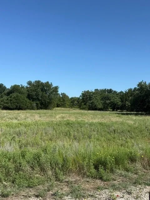 Ridgeview Court Mingus, TX 76463