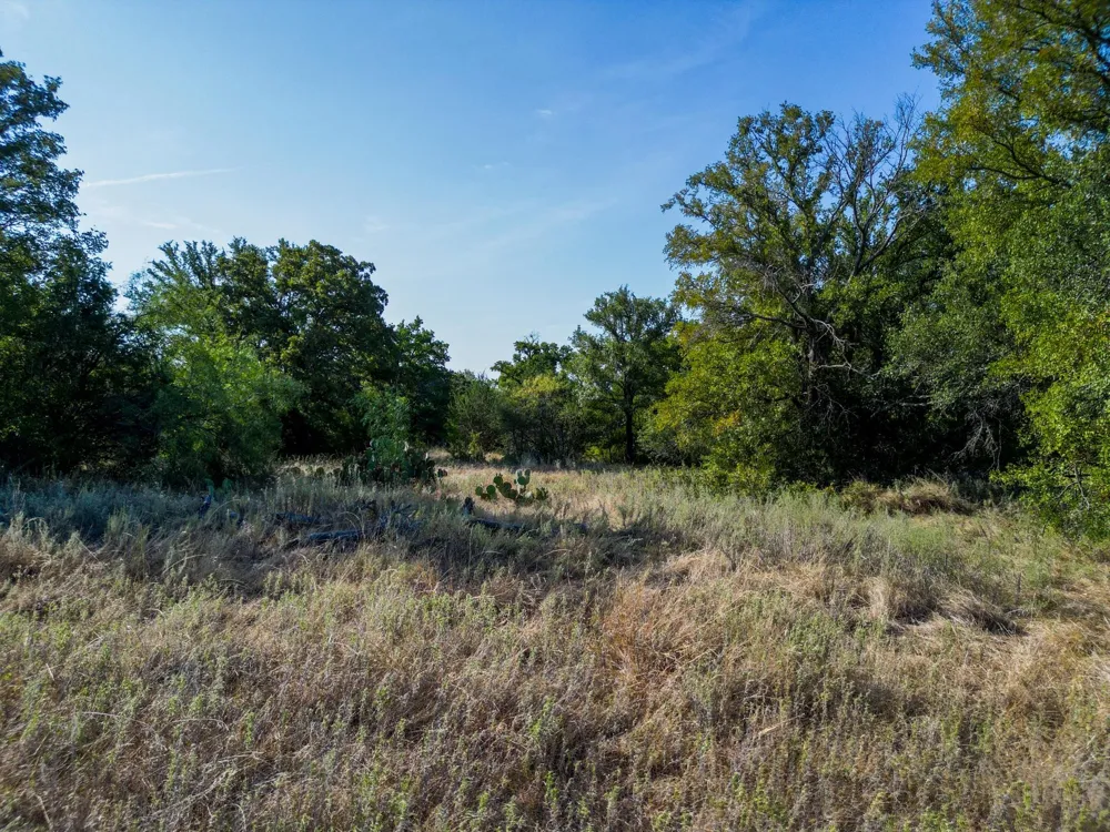 Ridgeview Court Mingus, TX 76463