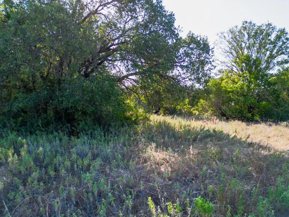 Ridgeview Court Mingus, TX 76463