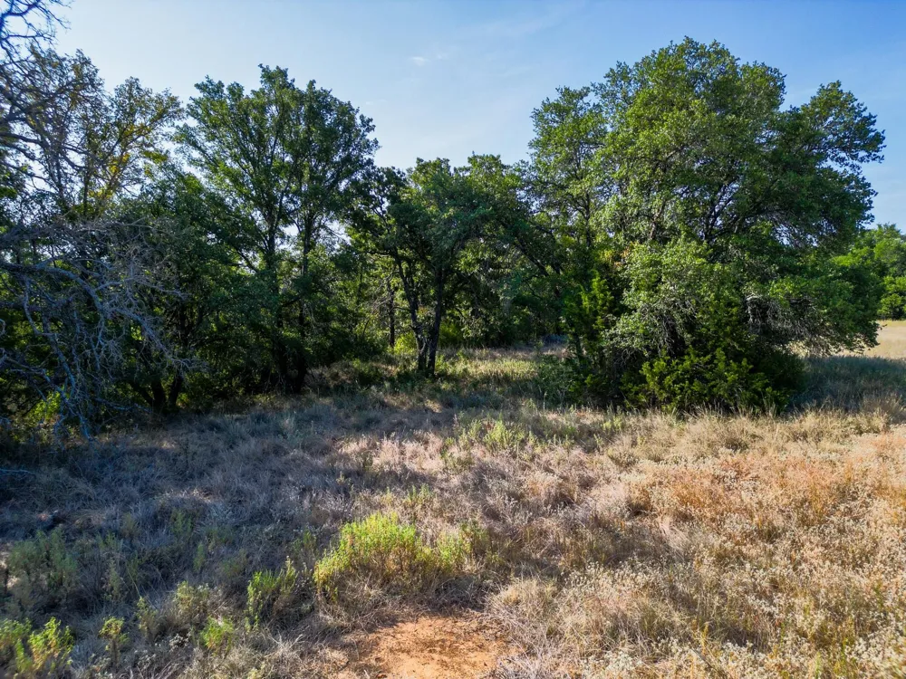 Ridgeview Court Mingus, TX 76463