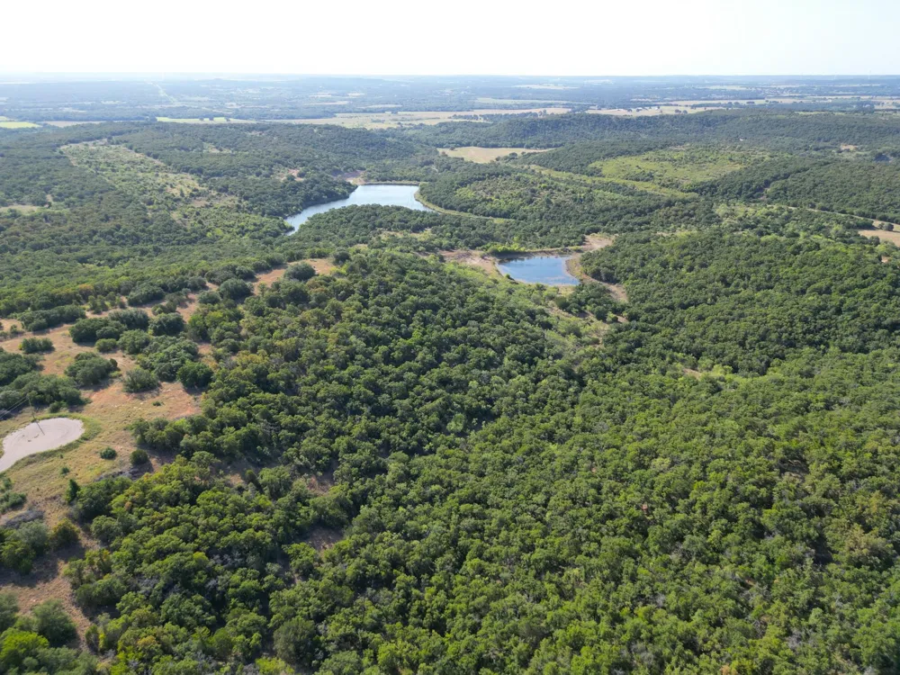 Ridgeview Court Mingus, TX 76463