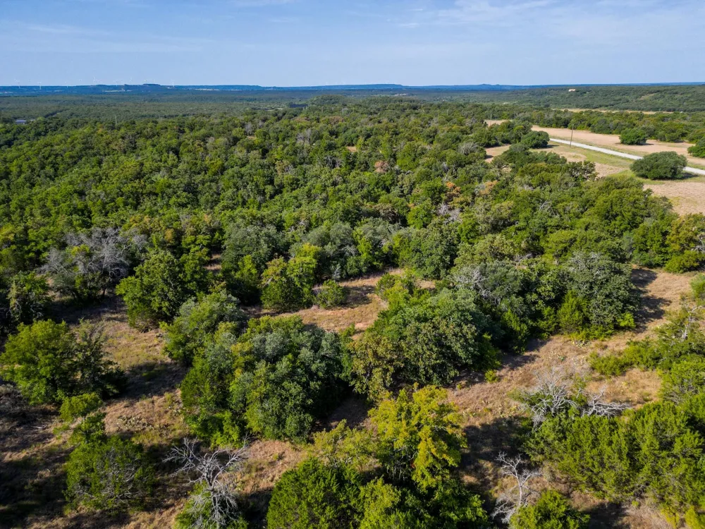 Ridgeview Court Mingus, TX 76463