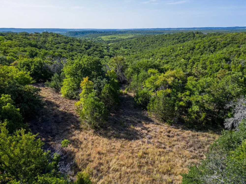 Ridgeview Court Mingus, TX 76463