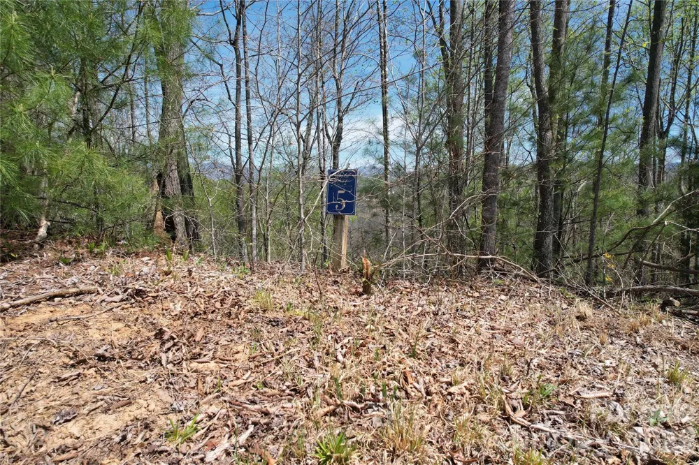 0 High Peak Drive #5 Burnsville, NC 28714