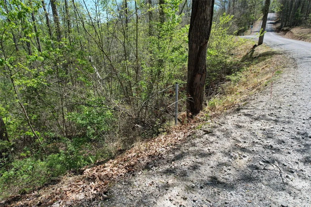 0 High Peak Drive #5 Burnsville, NC 28714