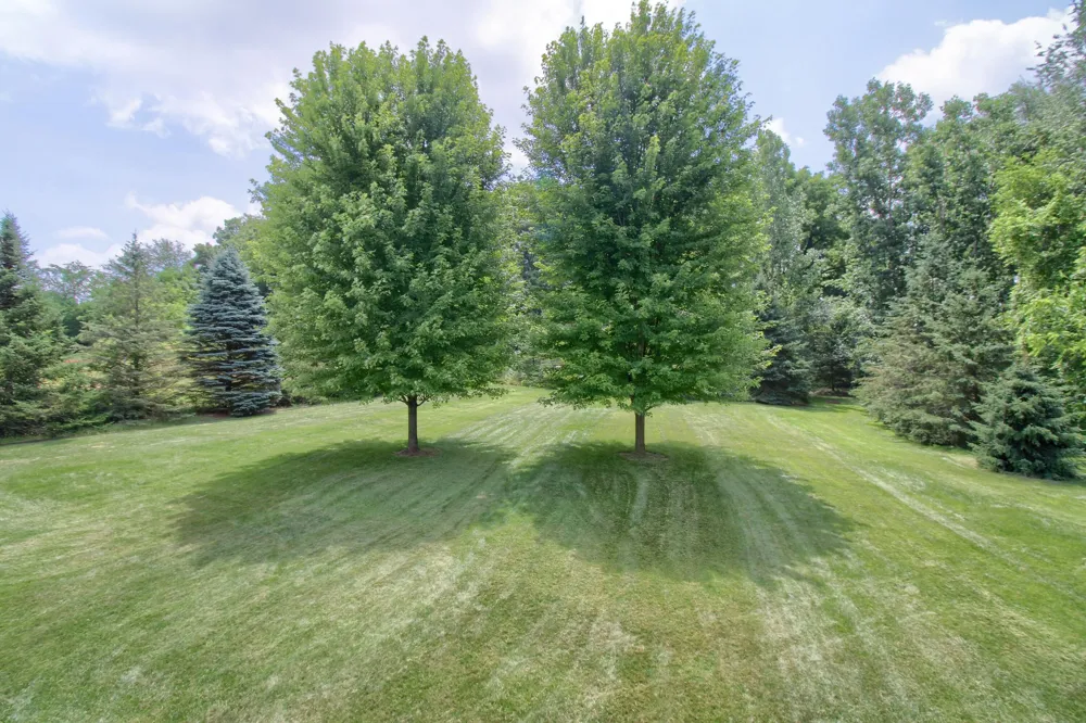 6833 Meadows Pass Webster Township, MI 48130