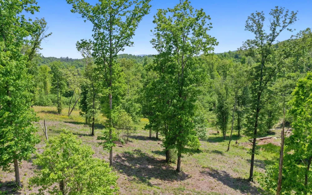 Lt27,28B Haven Way Blue Ridge, GA 30513
