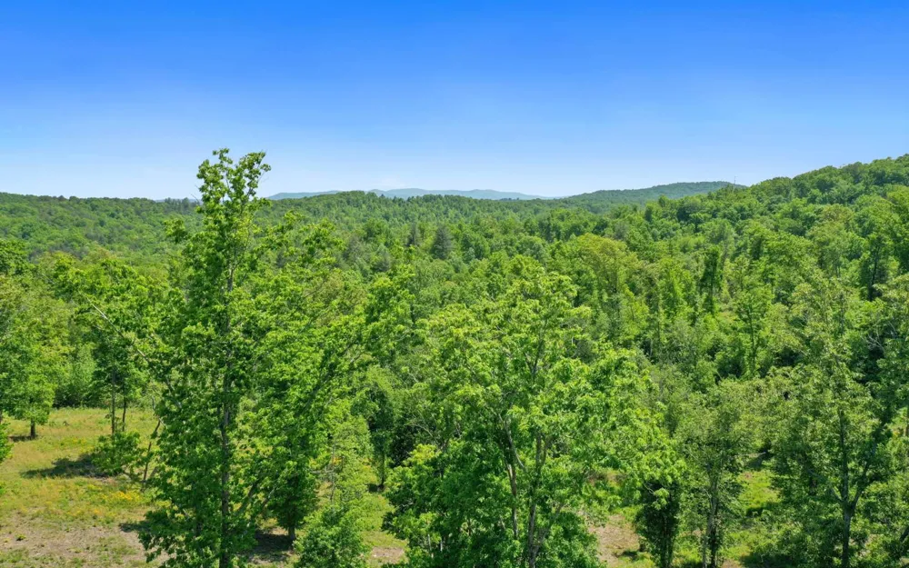 Lt27,28B Haven Way Blue Ridge, GA 30513